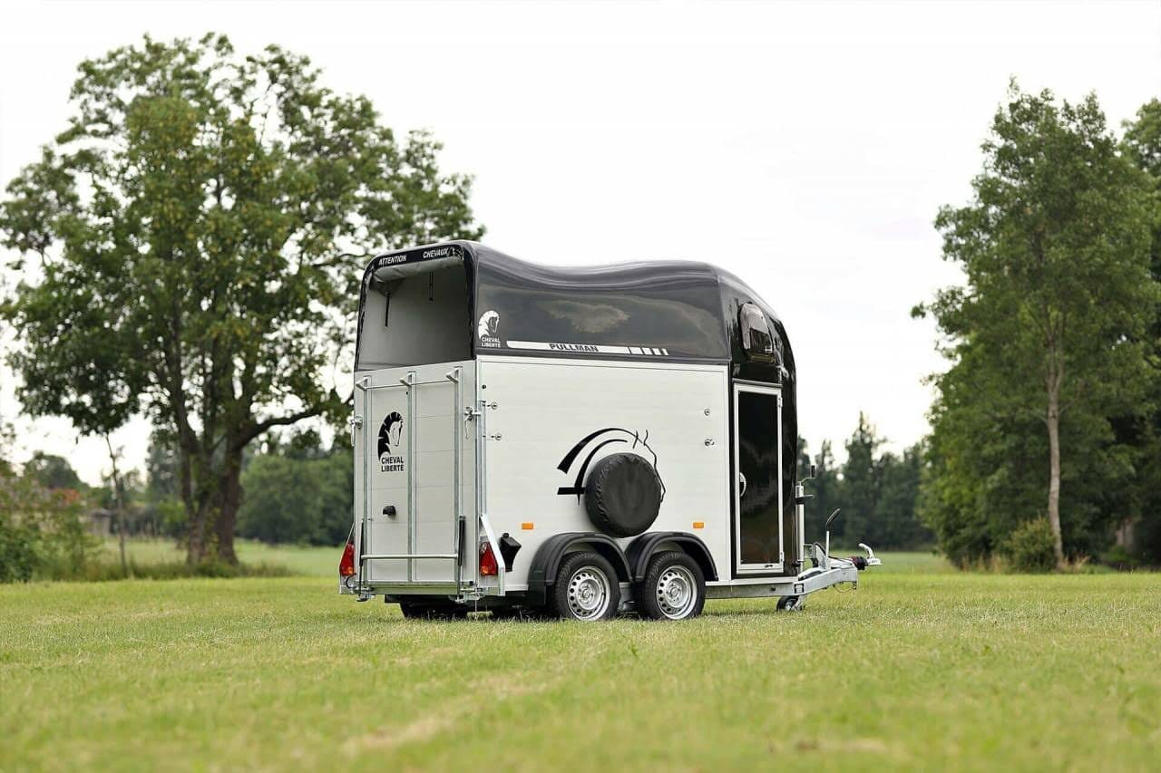 Van Minimax – Maxi 3